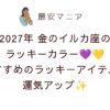 2027年金のイルカ座のラッキーカラーはラベンダー＆明るいオレンジ！おすすめのラッキーアイテムで運気アップ💜🧡✨